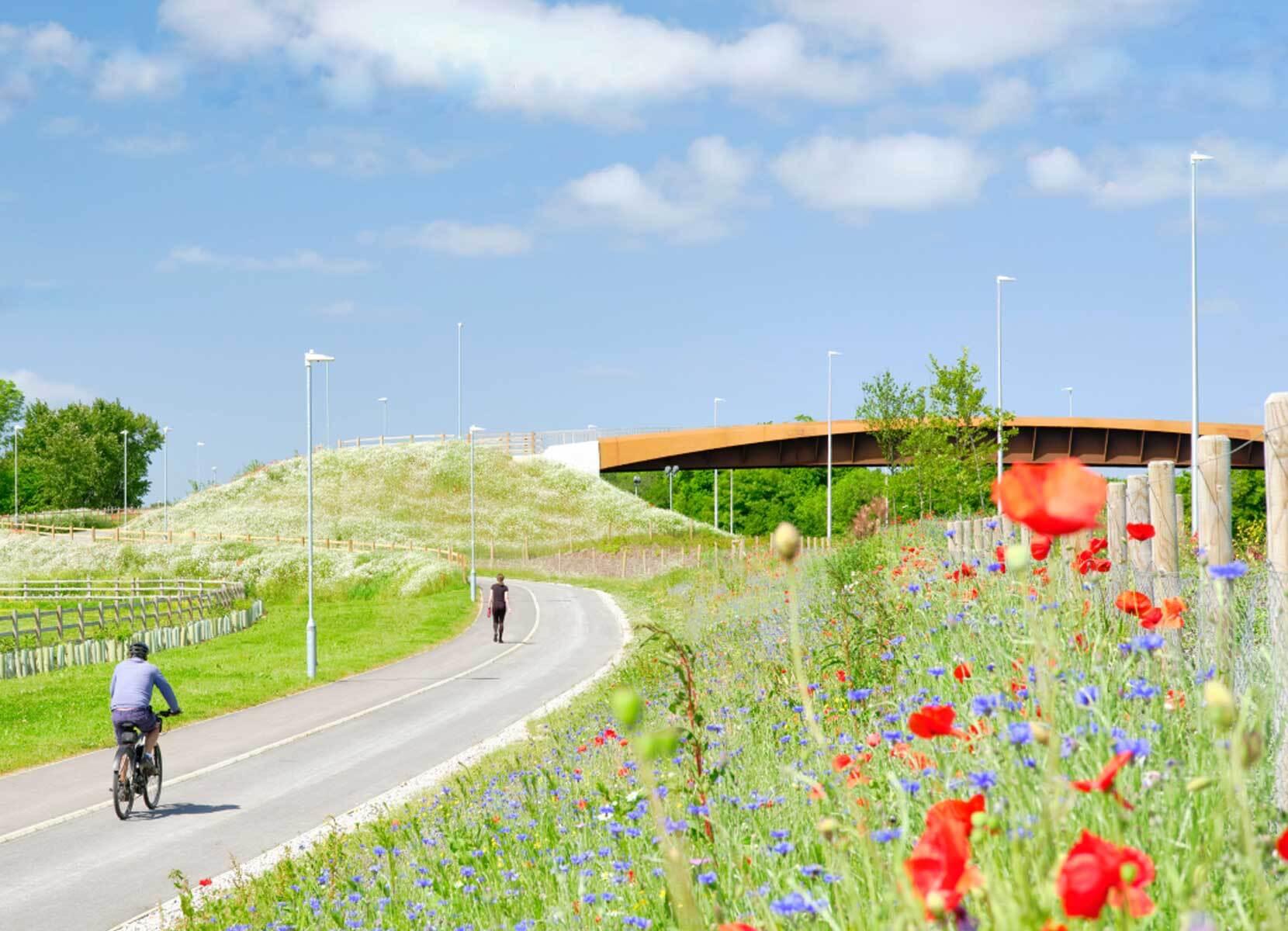A cyclist and a pedestrian approach a modern footbridge on a bright and sunny day